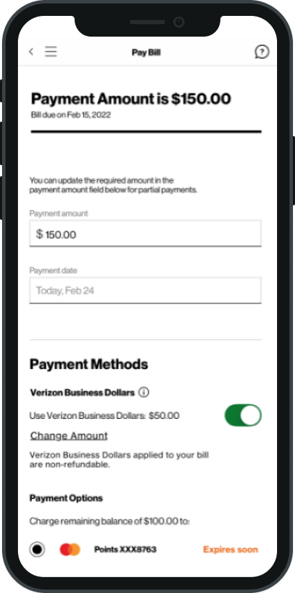 Account overview and Business Dollars balance on iOS
